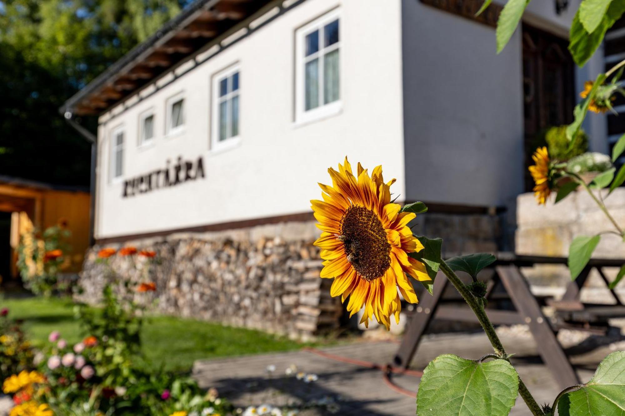 Chata Rychtářka Janov nad Nisou Zewnętrze zdjęcie